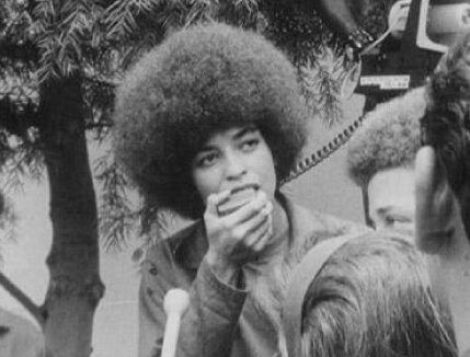 You are currently viewing Angela Davis: Portrait of a Revolutionary